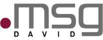 msg DAVID GmbH Logo
